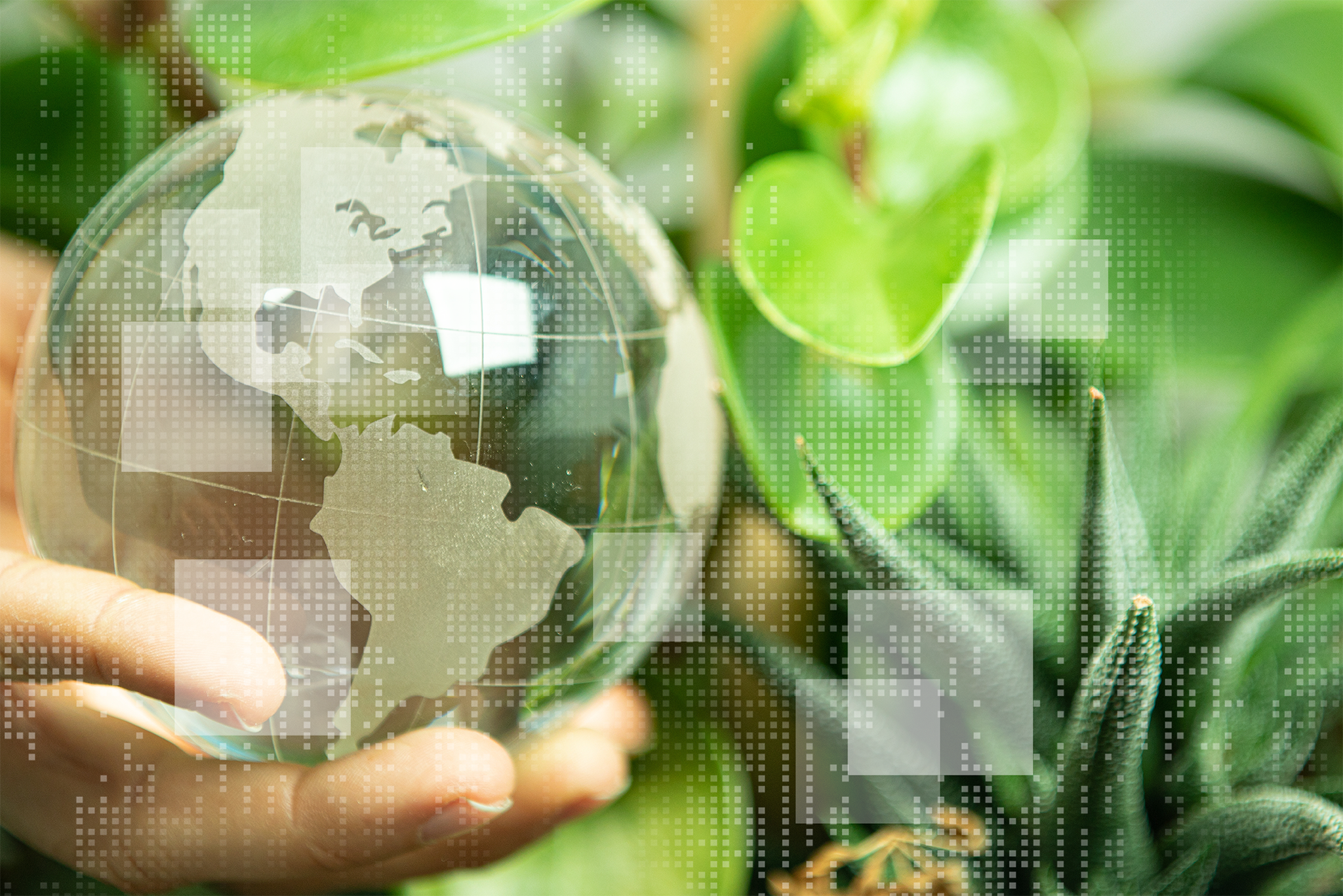 Nachhaltigkeit in der digitalisierten Supply Chain
