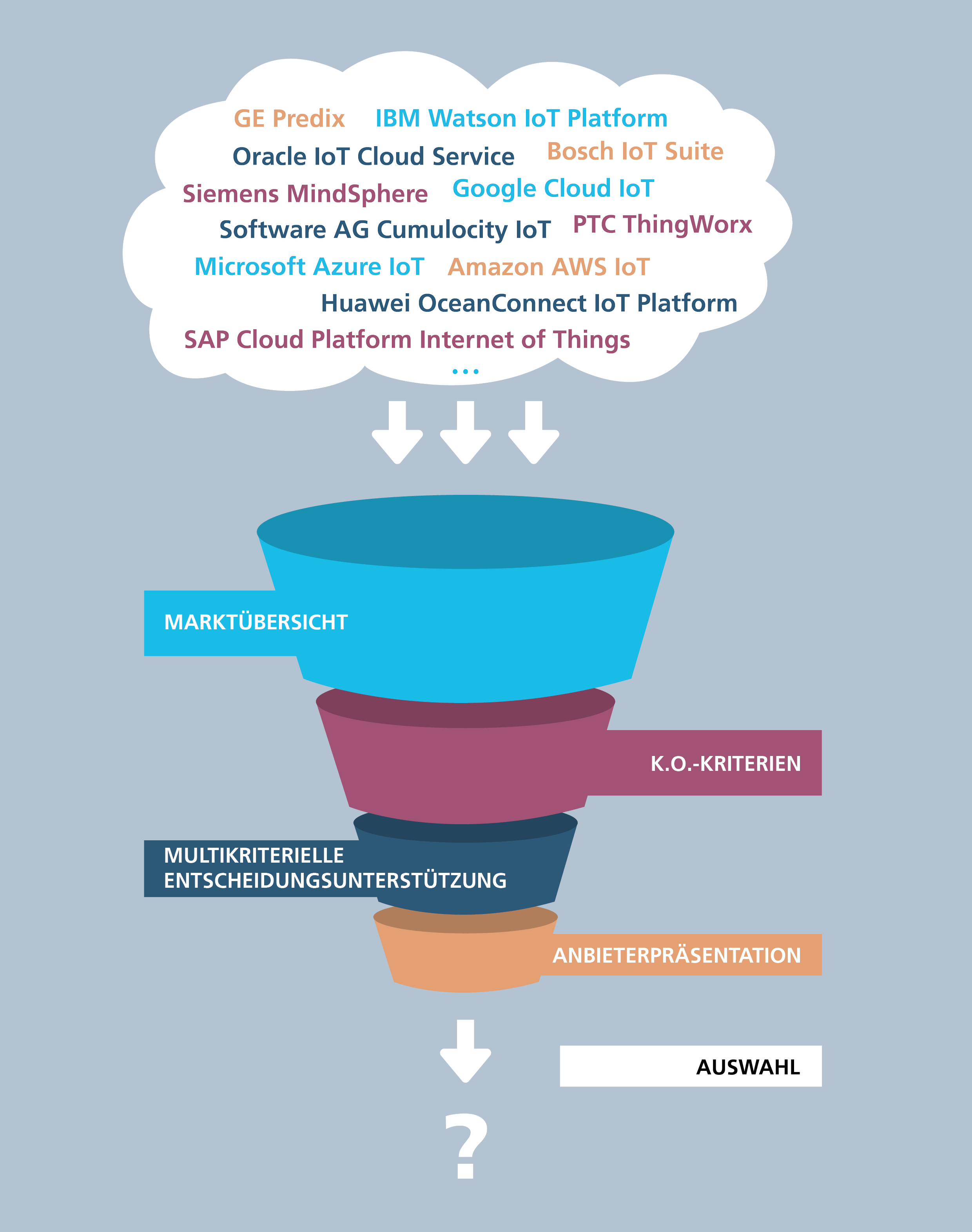 Bild Bewertung und Auswahl von IoT-Software-Plattformen